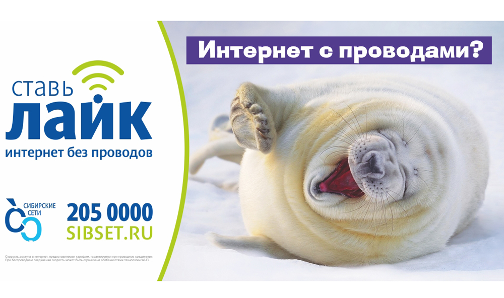 Сибирская Сеть Магазинов